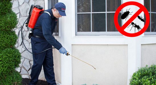 Siverek Kene İlaçlama böcek ilaçlama ve haşere kontrolü — ilaclama-tr.com